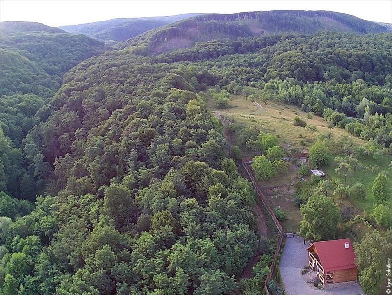Творча Садиба Svalyava Exterior photo